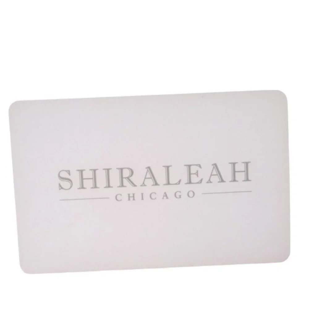 Shiraleah Chicago Silver Metallic Clutch GUC